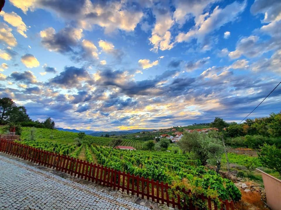 Casa Do Poco - Douro Hotel Peso da Régua Kültér fotó