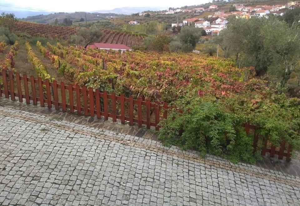 Casa Do Poco - Douro Hotel Peso da Régua Kültér fotó